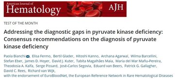 "Addressing the diagnostic gaps in pyruvate kinase deficiency: Consensus recommendations on the diagnosis of pyruvate kinase deficiency" Published under the endorsement of ERN-EuroBloodNet